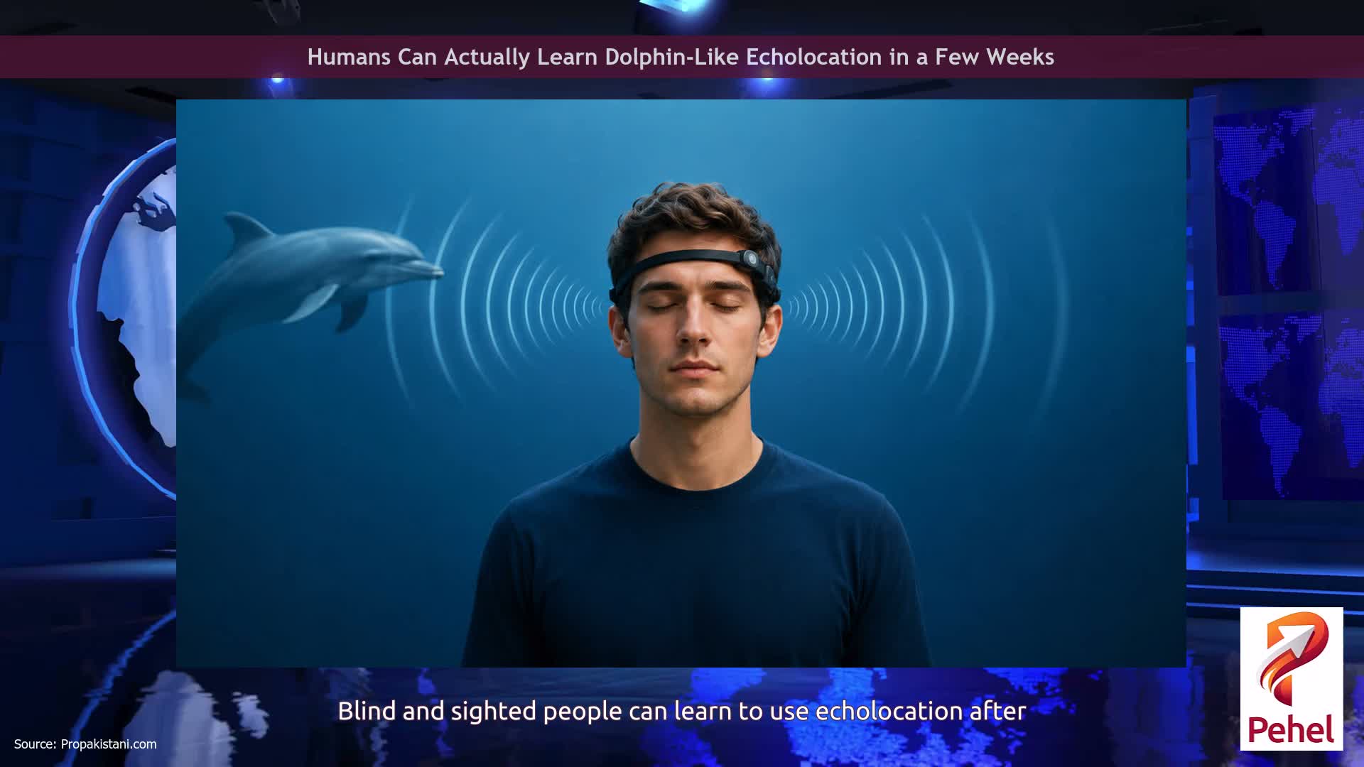 Humans Can Actually Learn Dolphin-Like Echolocation in a Few Weeks