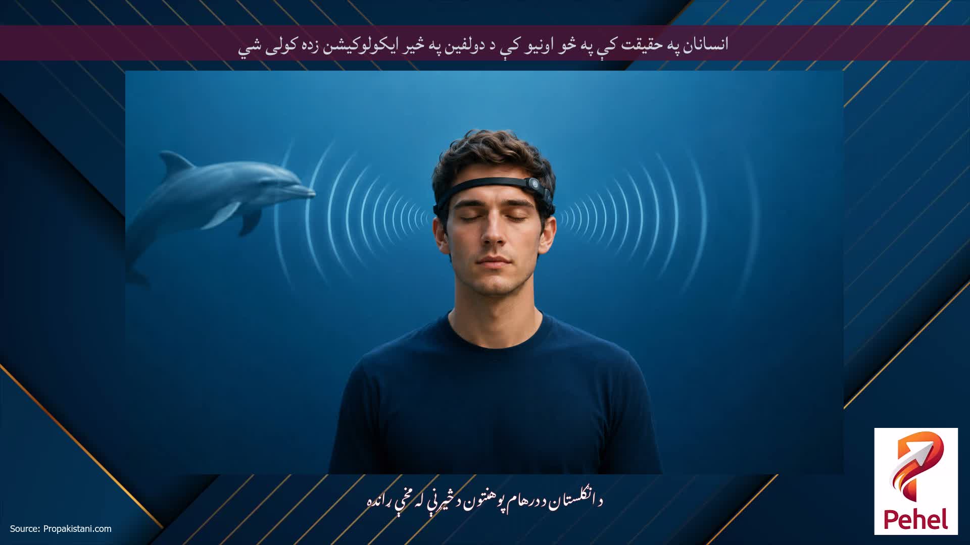 انسانان په حقیقت کې په څو اونیو کې د دولفین په څیر ایکولوکیشن زده کولی شي