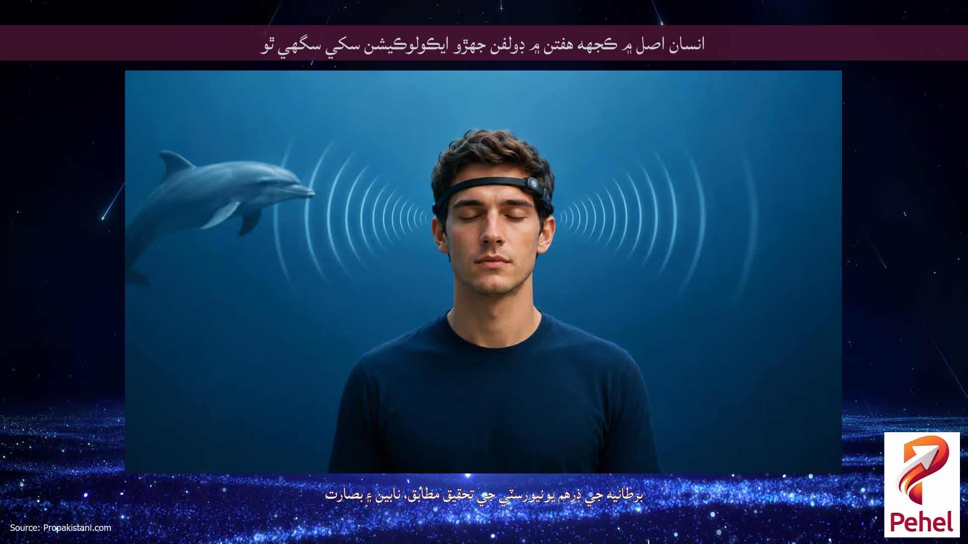 انسان اصل ۾ ڪجهه هفتن ۾ ڊولفن جهڙو ايڪولوڪيشن سکي سگهي ٿو