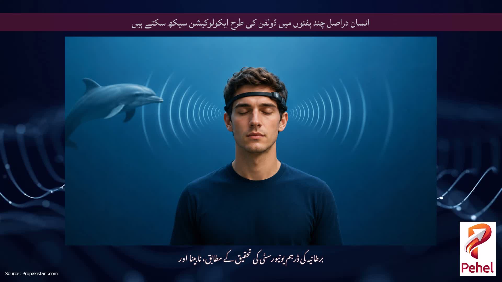 انسان دراصل چند ہفتوں میں ڈولفن کی طرح ایکولوکیشن سیکھ سکتے ہیں