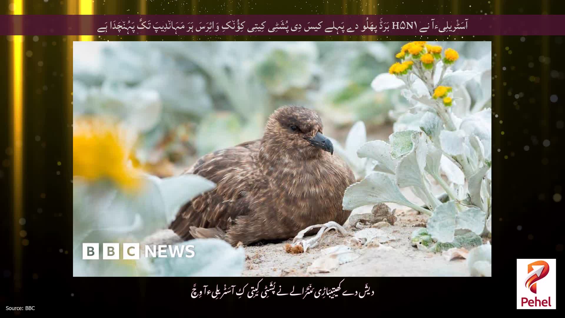 آسَٹْریلِیءآ نے H۵N۱ بَرَڈَ پھَلُو دے پَہِلے کیسَ دِی پُشَٹِی کِیتِی کِؤُن٘کِ وَائِرَسَ ہَرَ مَہَان٘دِیپَ تَکَّ پَہُن٘چَدَا ہَے