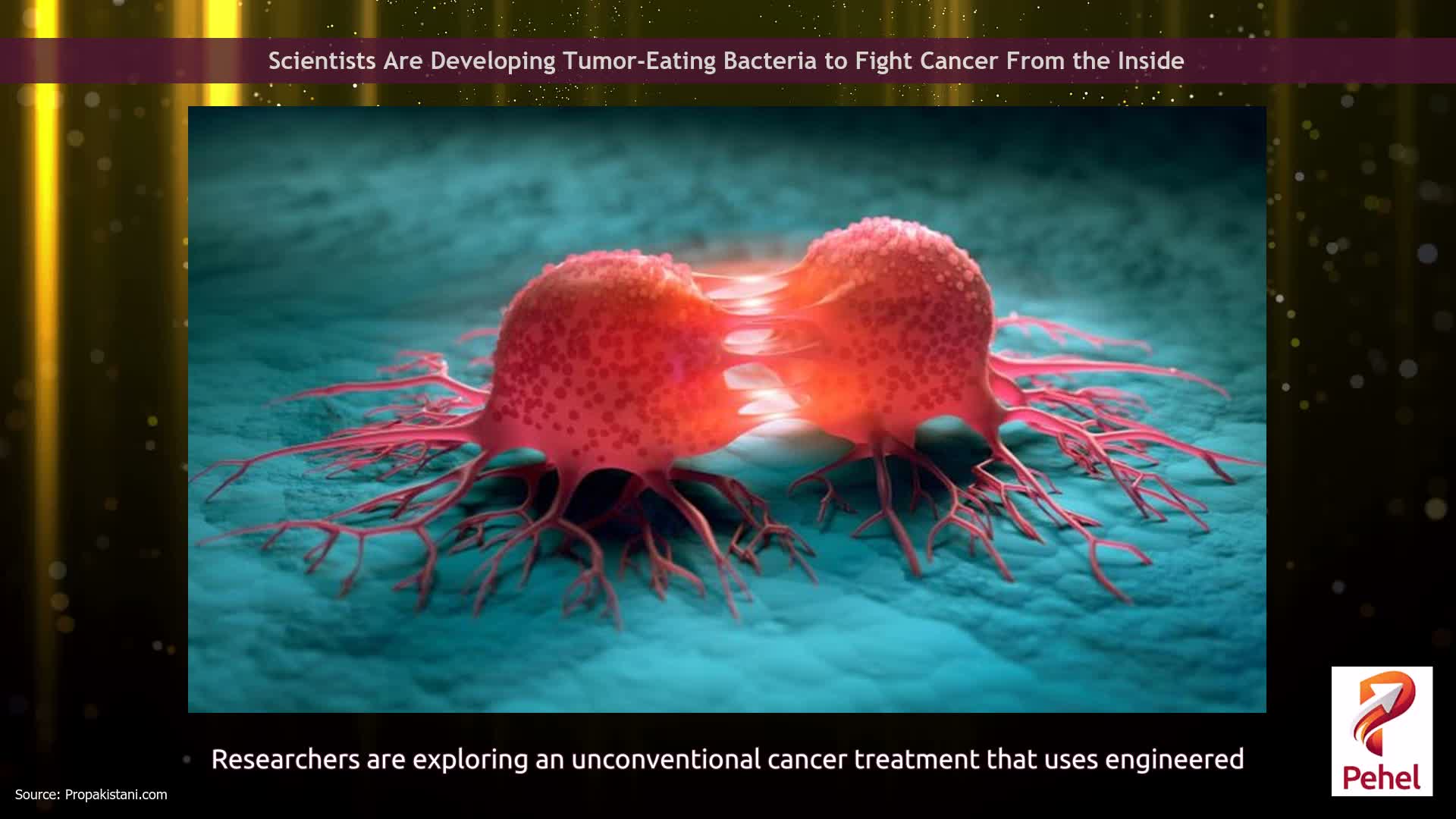 Scientists Are Developing Tumor-Eating Bacteria to Fight Cancer From the Inside