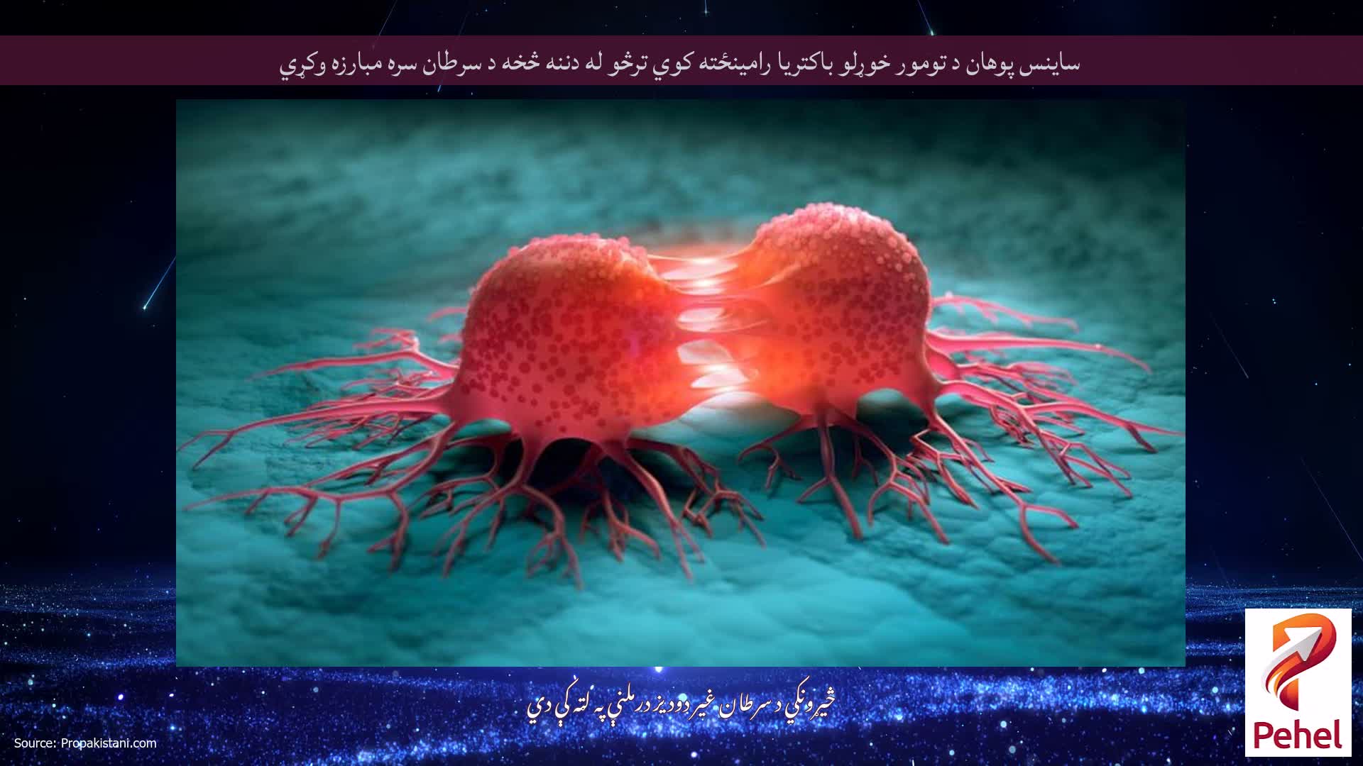 ساینس پوهان د تومور خوړلو باکتریا رامینځته کوي ترڅو له دننه څخه د سرطان سره مبارزه وکړي