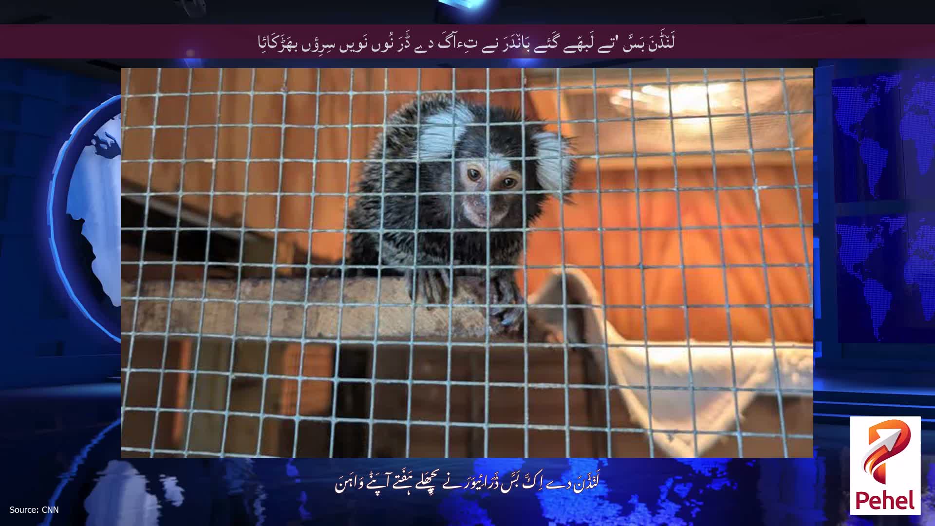 لَن٘ڈَنَ بَسَّ 'تے لَبھّے گَئے بَان٘دَرَ نے تِءآگَ دے ڈَرَ نُوں نَویں سِرِؤں بھَڑَکَائِا