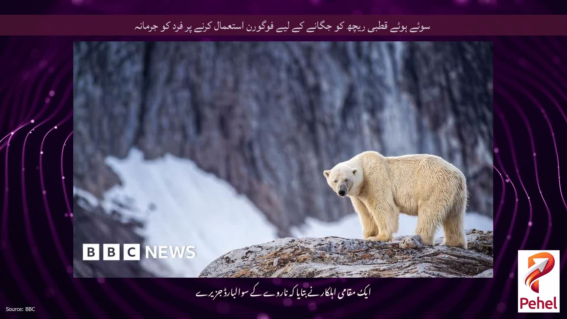 سوئے ہوئے قطبی ریچھ کو جگانے کے لیے فوگورن استعمال کرنے پر فرد کو جرمانہ