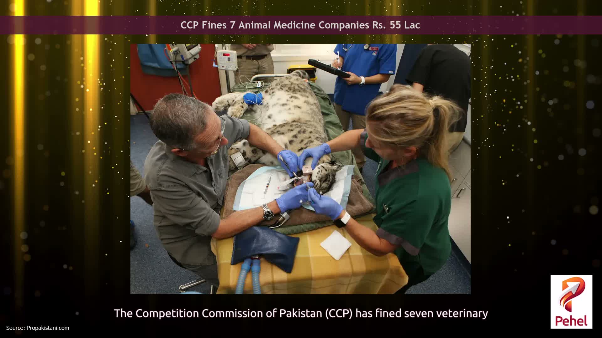 CCP Fines 7 Animal Medicine Companies Rs. 55 Lac