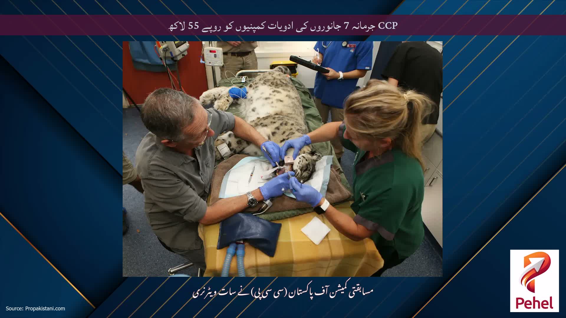 CCP جرمانہ 7 جانوروں کی ادویات کمپنیوں کو روپے 55 لاکھ
