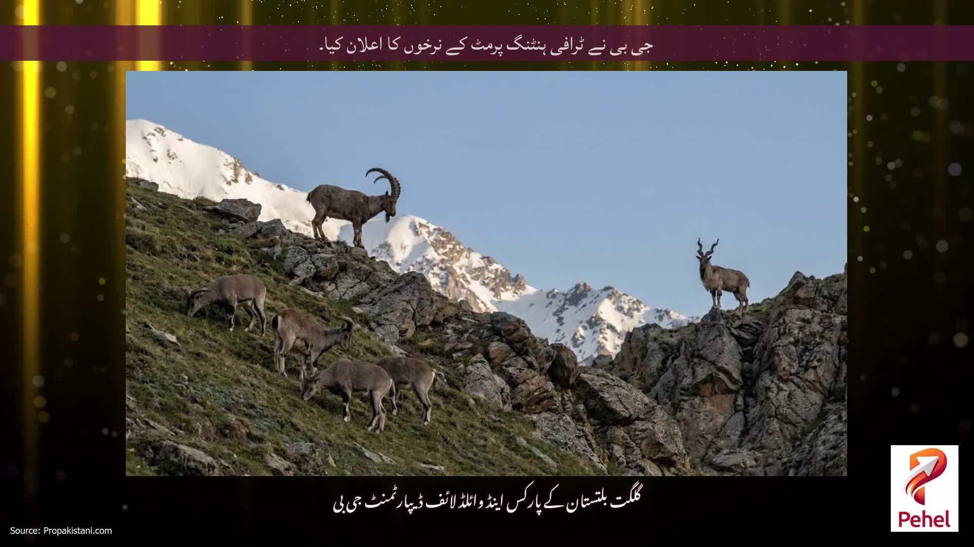 جی بی نے ٹرافی ہنٹنگ پرمٹ کے نرخوں کا اعلان کیا۔