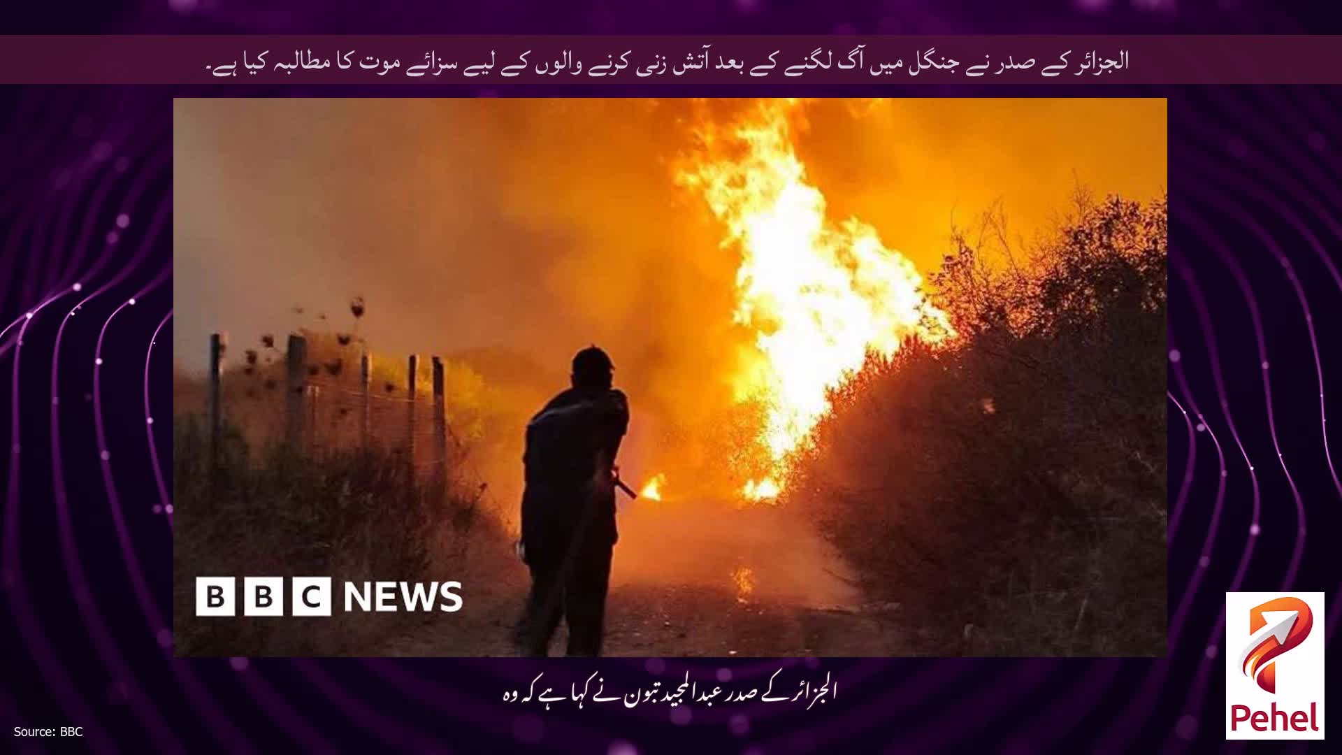 الجزائر کے صدر نے جنگل میں آگ لگنے کے بعد آتش زنی کرنے والوں کے لیے سزائے موت کا مطالبہ کیا ہے۔