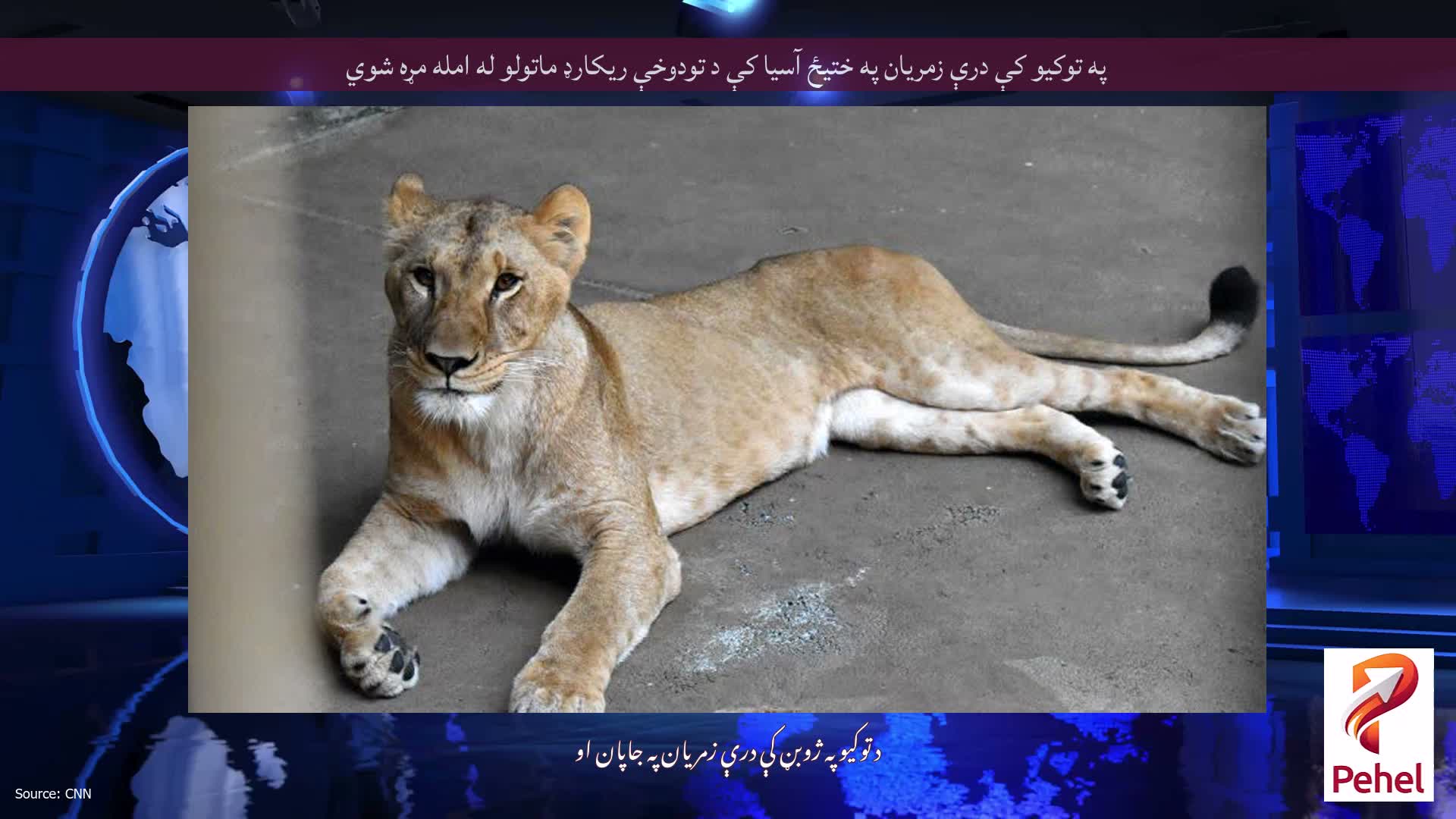 په توکیو کې درې زمریان په ختیځ آسیا کې د تودوخې ریکارډ ماتولو له امله مړه شوي