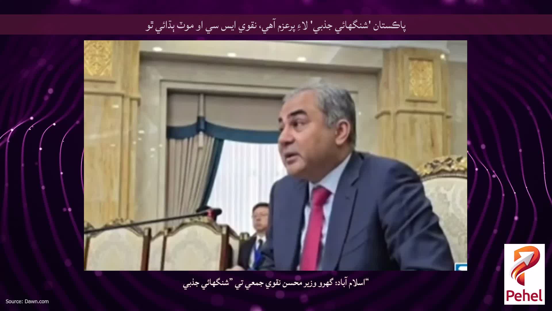 پاڪستان 'شنگھائي جذبي' لاءِ پرعزم آهي، نقوي ايس سي او موٽ ٻڌائي ٿو