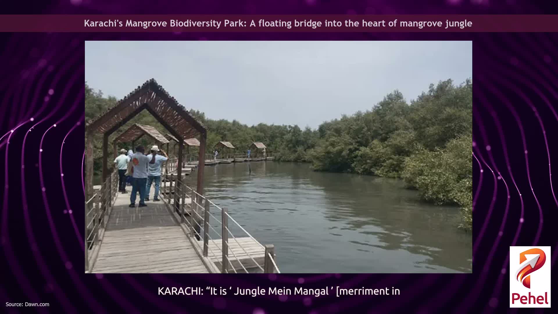 Karachi's Mangrove Biodiversity Park: A floating bridge into the heart of mangrove jungle