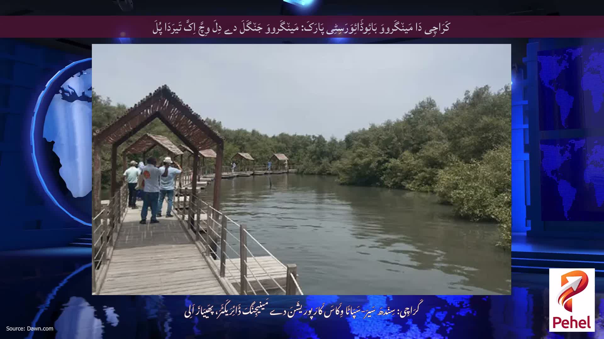 کَرَاچِی دَا مَین٘گَرووَ بَائِوڈَائِوَرَسِٹِی پَارَکَ: مَین٘گَرووَ جَن٘گَلَ دے دِلَ وِچَّ اِکَّ تَیرَدَا پُلَ