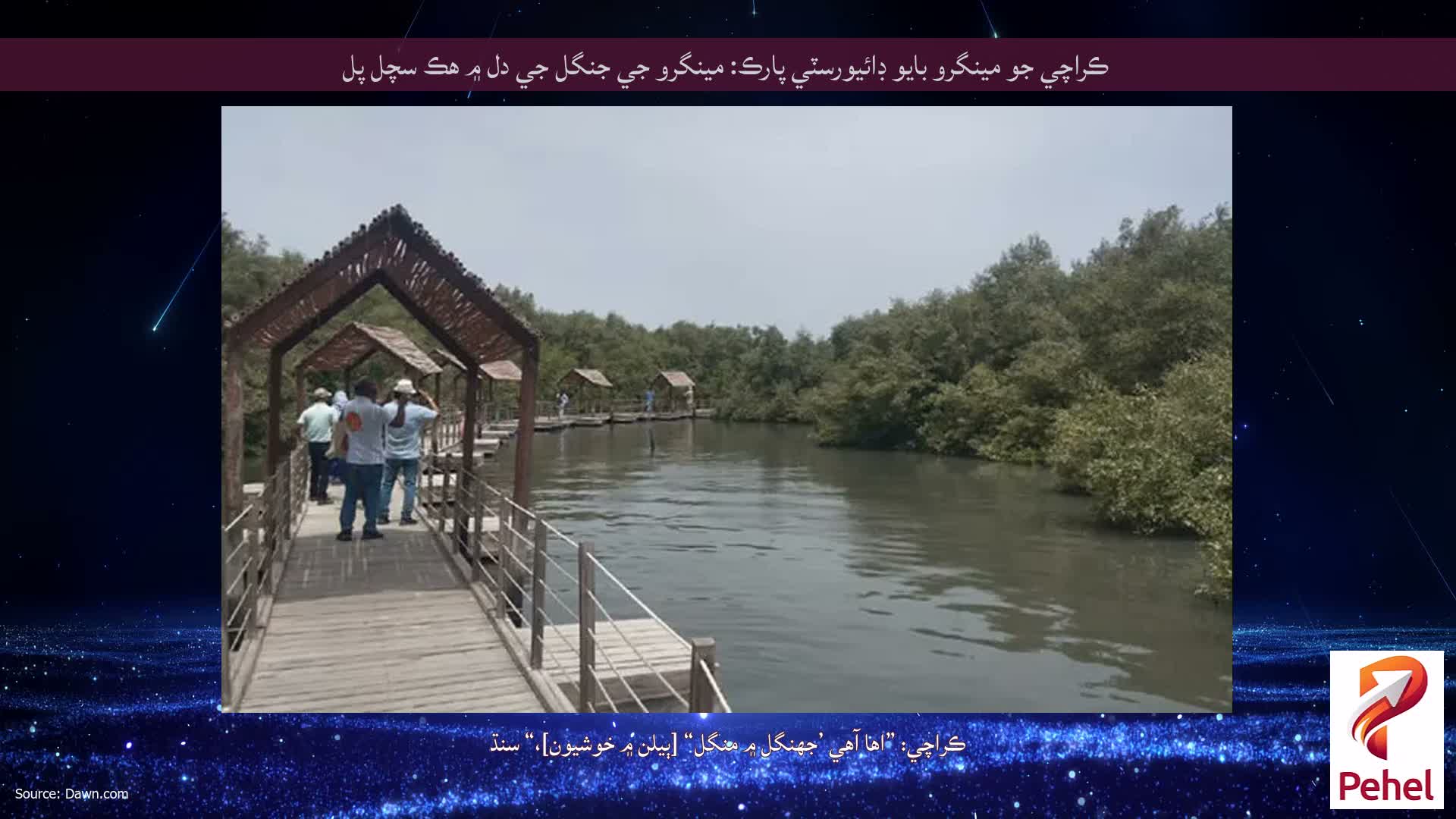 ڪراچي جو مينگرو بايو ڊائيورسٽي پارڪ: مينگرو جي جنگل جي دل ۾ هڪ سچل پل