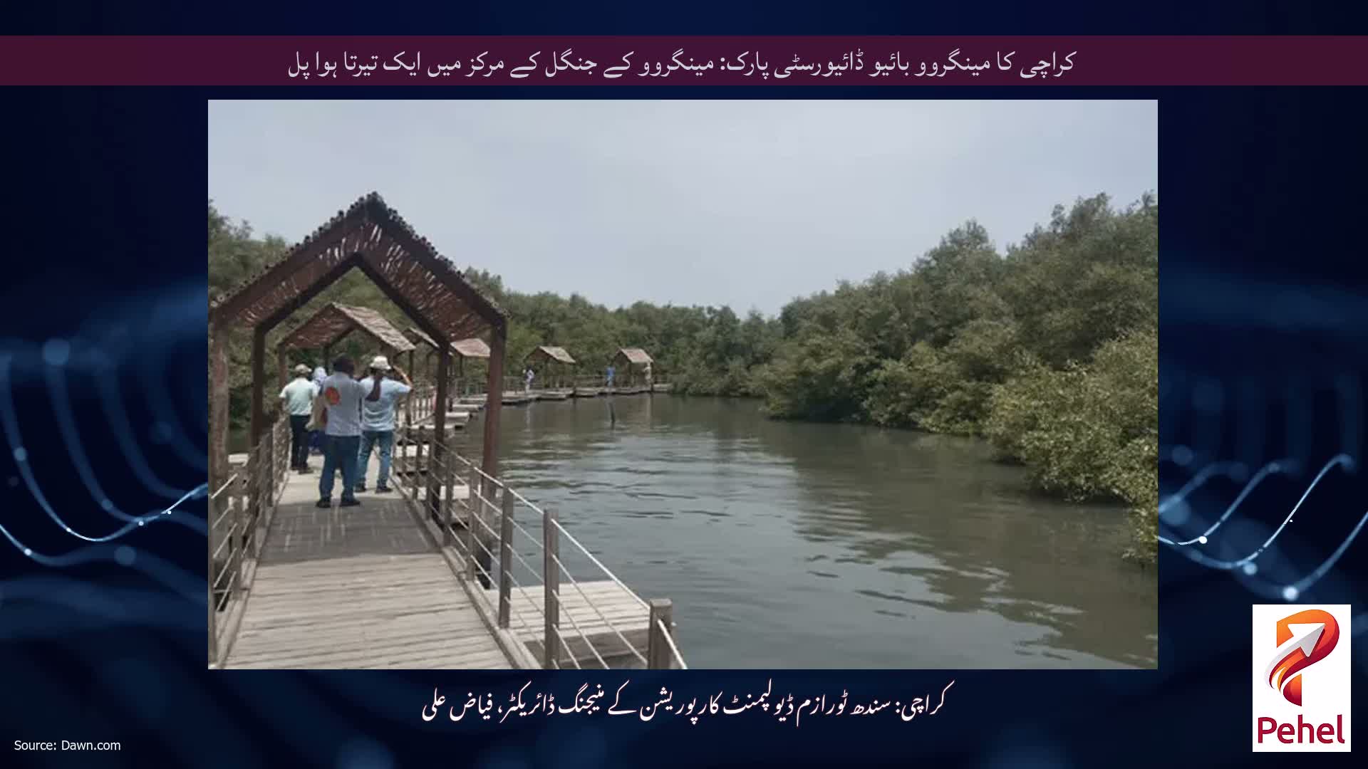 کراچی کا مینگروو بائیو ڈائیورسٹی پارک: مینگروو کے جنگل کے مرکز میں ایک تیرتا ہوا پل