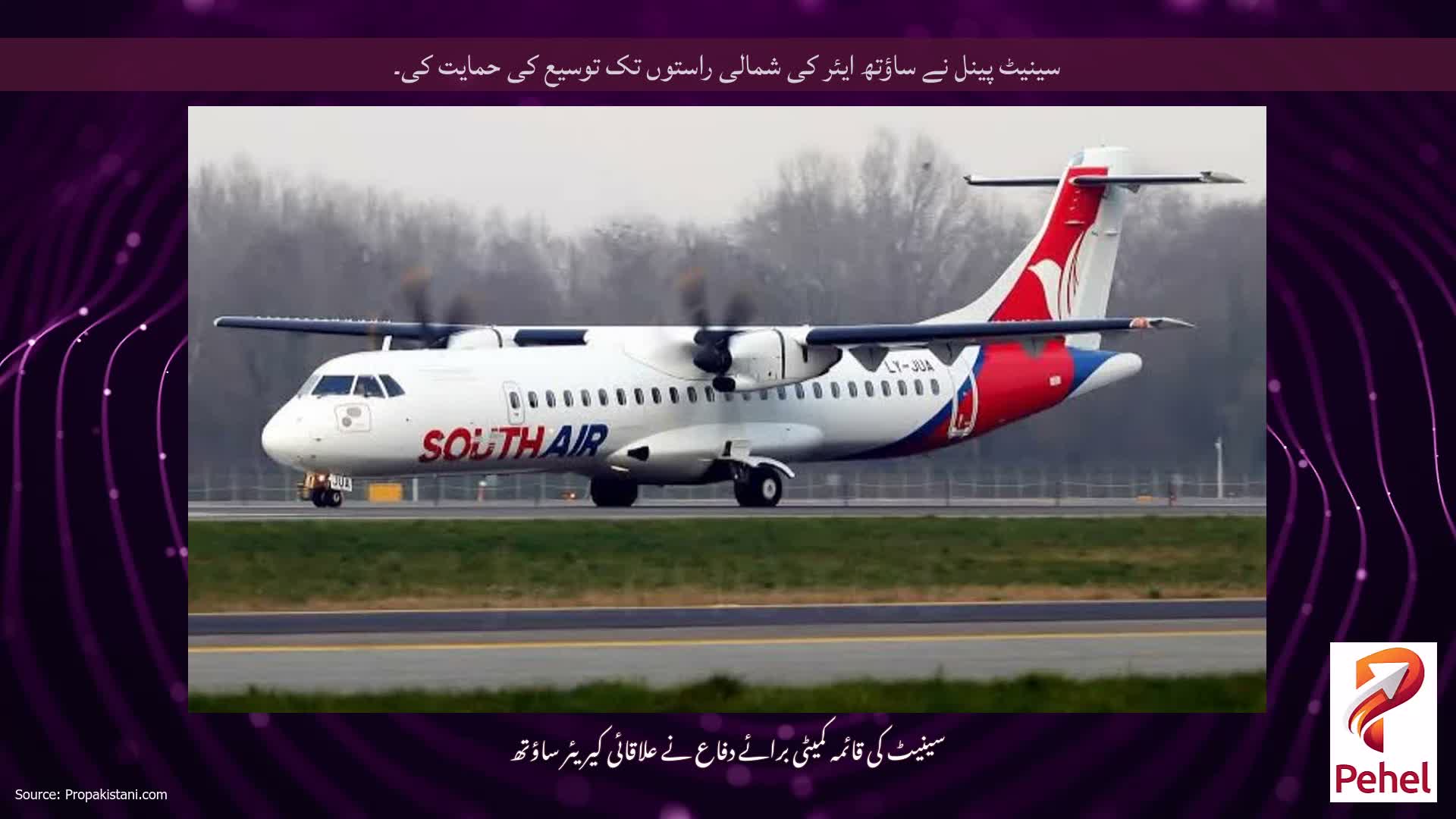 سینیٹ پینل نے ساؤتھ ایئر کی شمالی راستوں تک توسیع کی حمایت کی۔