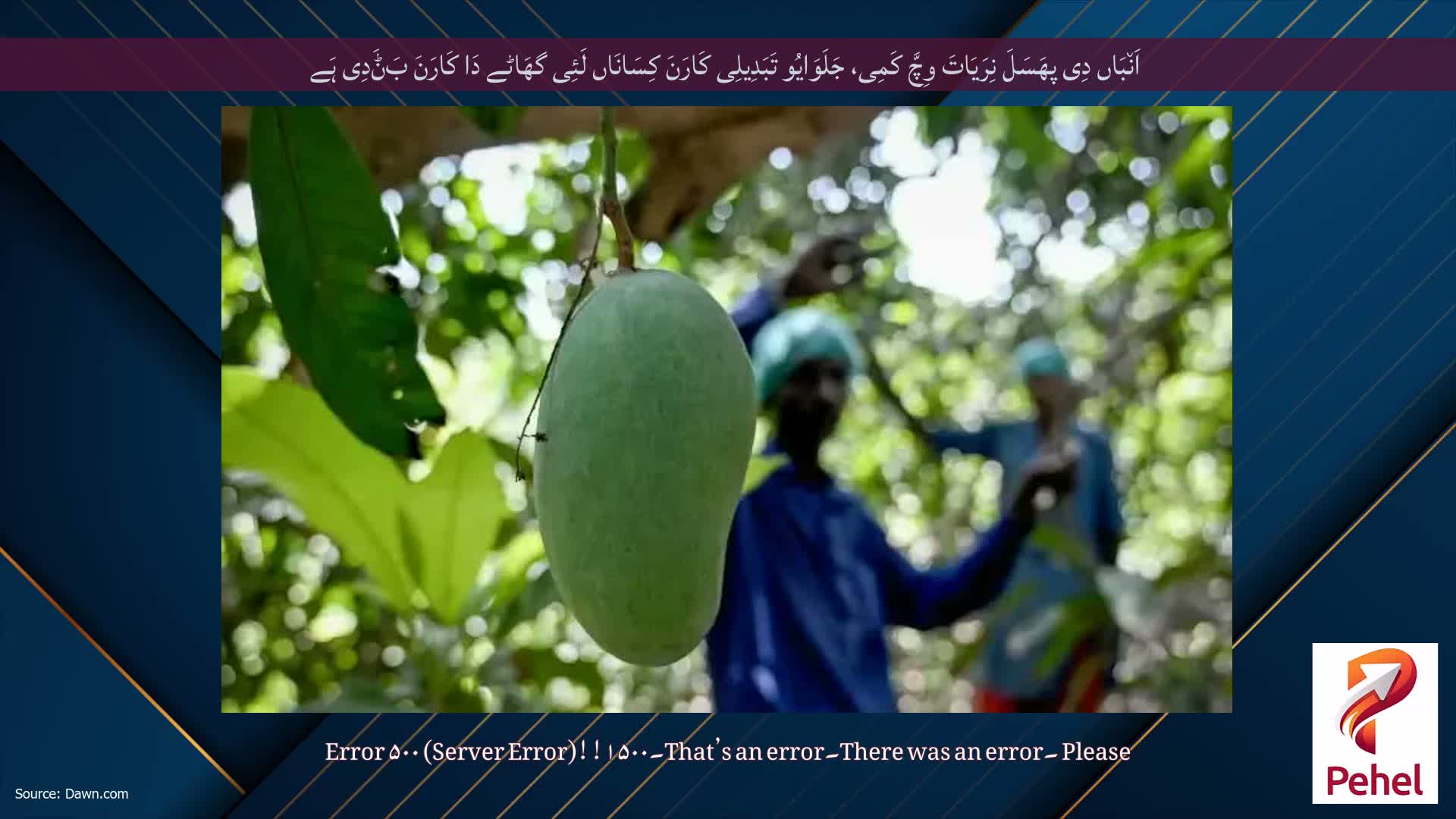 اَن٘بَاں دِی پھَسَلَ نِرَیَاتَ وِچَّ کَمِی، جَلَوَایُو تَبَدِیلِی کَارَنَ کِسَانَاں لَئِی گھَاٹے دَا کَارَنَ بَݨَدِی ہَے