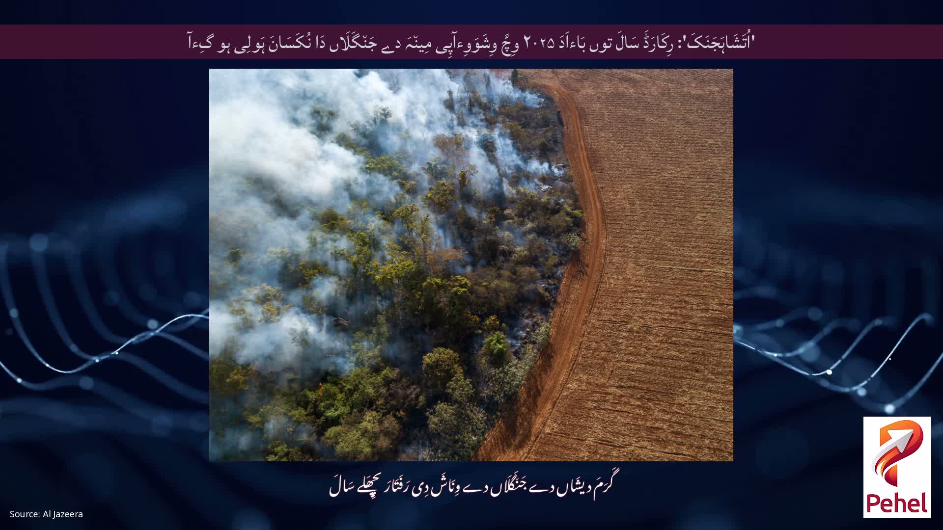 'اُتَشَاہَجَنَکَ': رِکَارَڈَ سَالَ توں بَاءاَدَ ۲۰۲۵ وِچَّ وِشَوَوِءآپِی مِین٘ہَ دے جَن٘گَلَاں دَا نُکَسَانَ ہَولِی ہو گِءآ