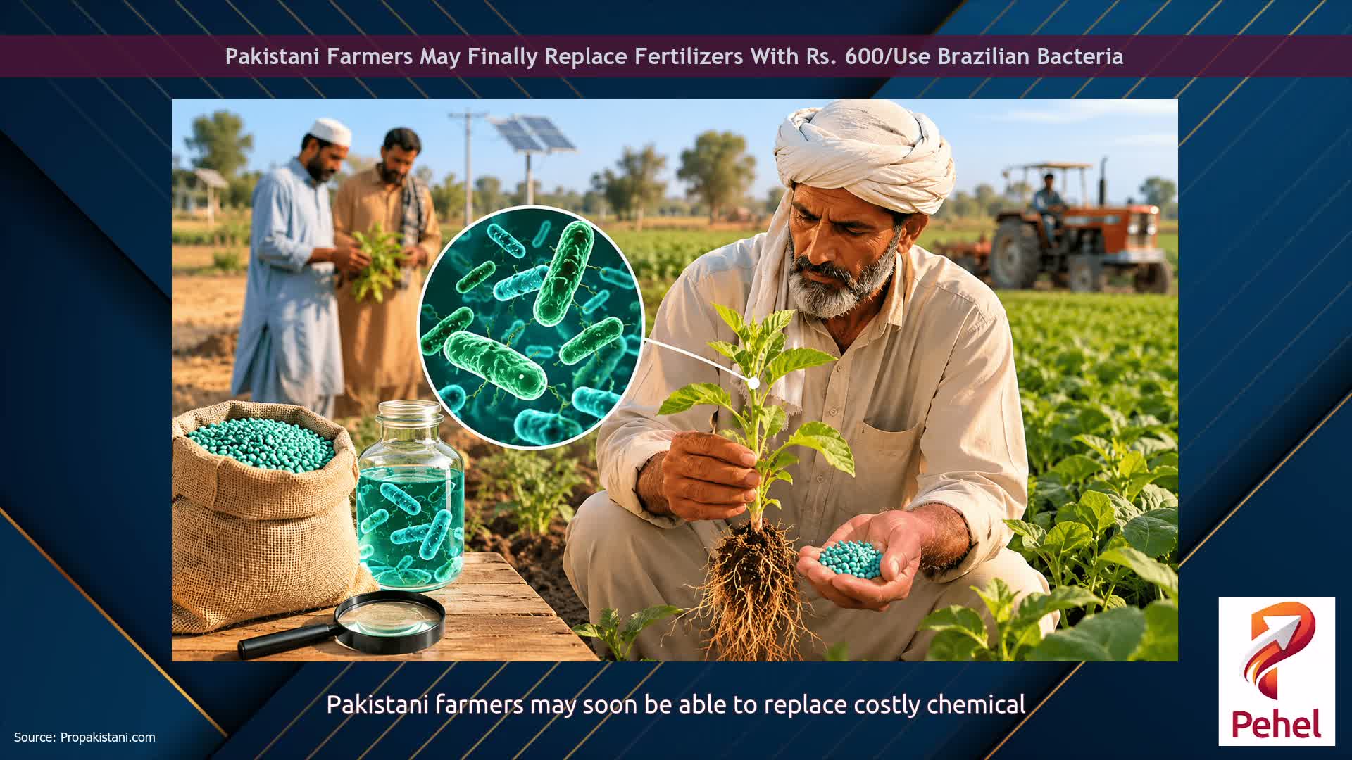 Pakistani Farmers May Finally Replace Fertilizers With Rs. 600/Use Brazilian Bacteria