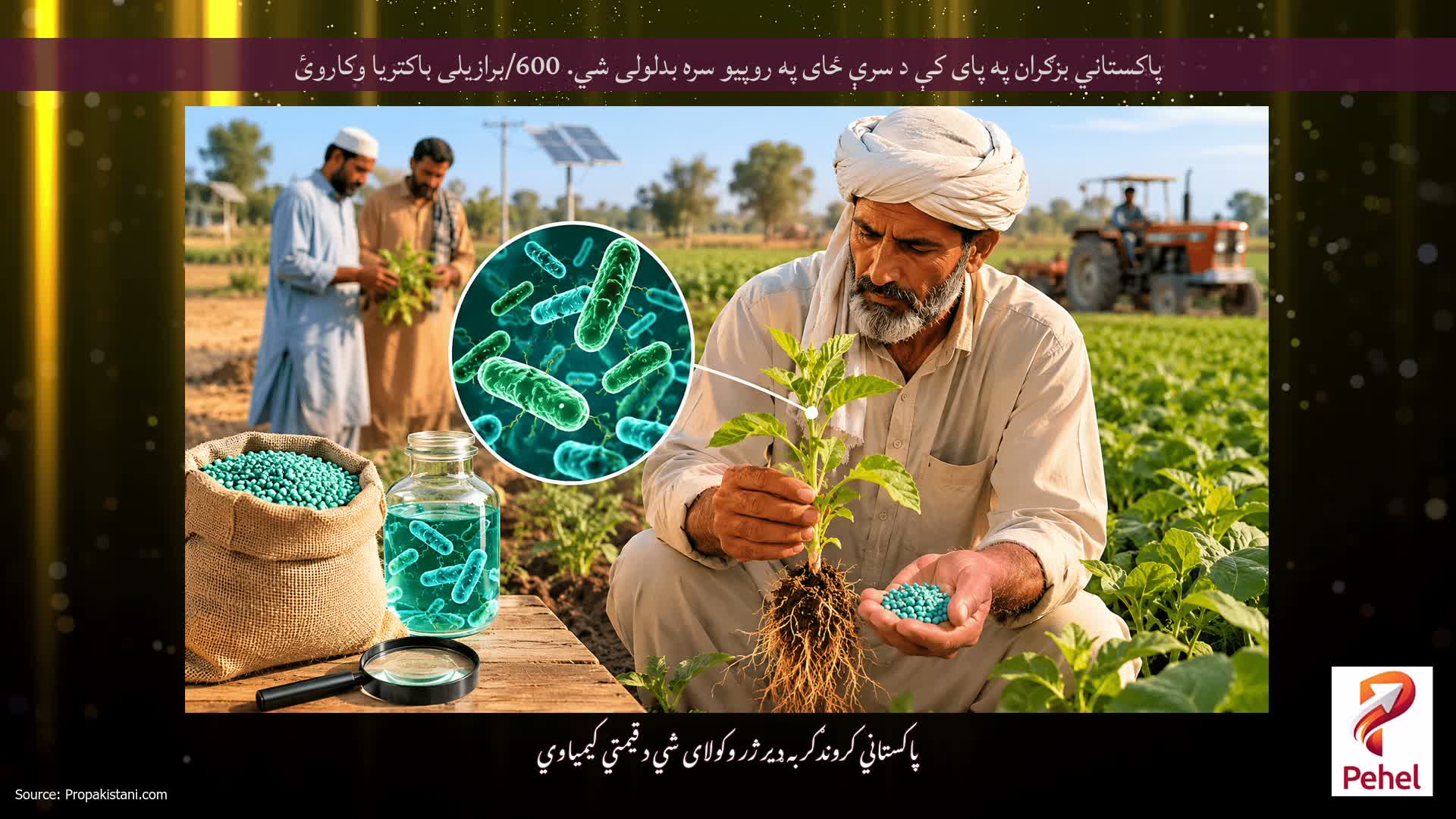 پاکستاني بزګران په پای کې د سرې ځای په روپیو سره بدلولی شي. 600/برازیلی باکتریا وکاروئ