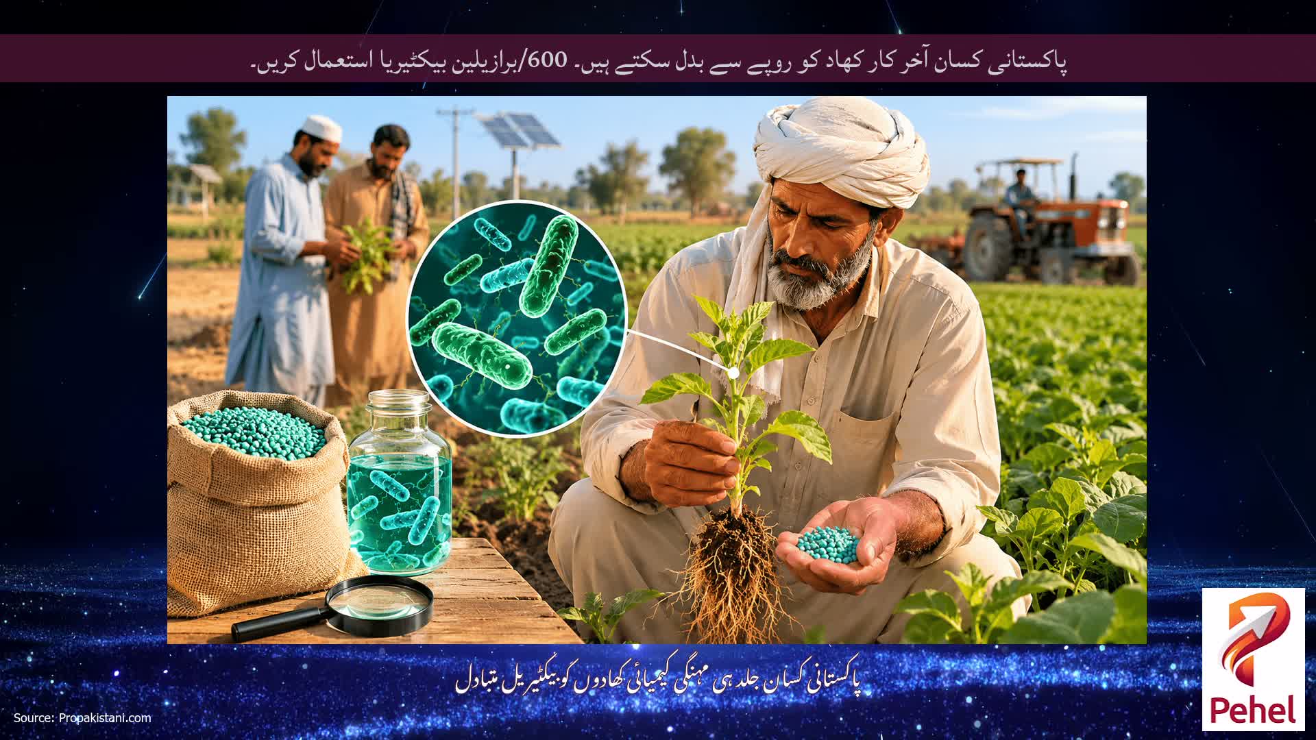 پاکستانی کسان آخر کار کھاد کو روپے سے بدل سکتے ہیں۔ 600/برازیلین بیکٹیریا استعمال کریں۔