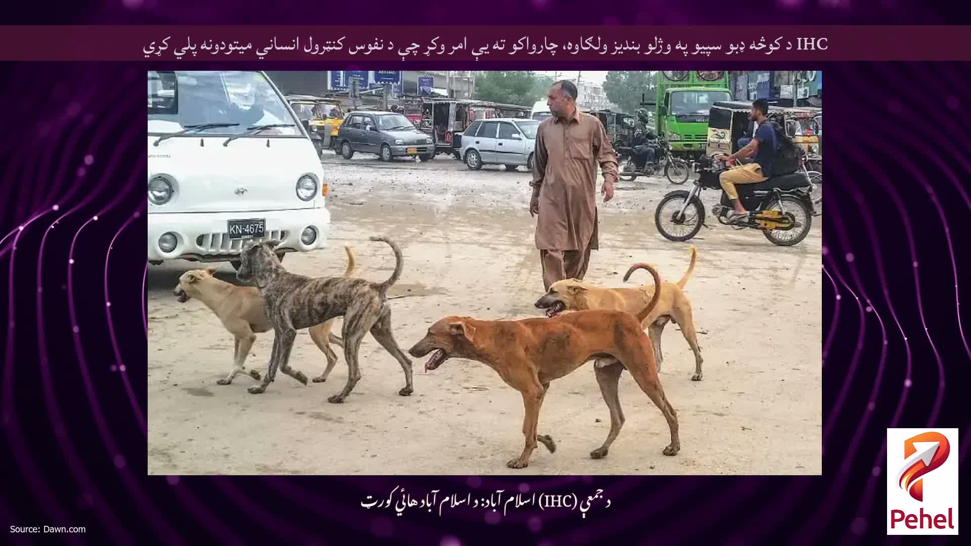 IHC د کوڅه ډبو سپیو په وژلو بندیز ولګاوه، چارواکو ته یې امر وکړ چې د نفوس کنټرول انساني میتودونه پلي کړي