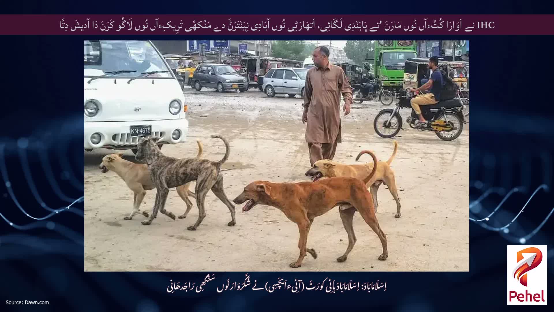 IHC نے اَوَارَا کُتِّءآں نُوں مَارَنَ 'تے پَابَن٘دِی لَگَائِی، اَتھَارَٹِی نُوں آبَادِی نِیَن٘تَرَݨَ دے مَنُکھِّی تَرِیکِءآں نُوں لَاگُو کَرَنَ دَا آدیشَ دِتَّا