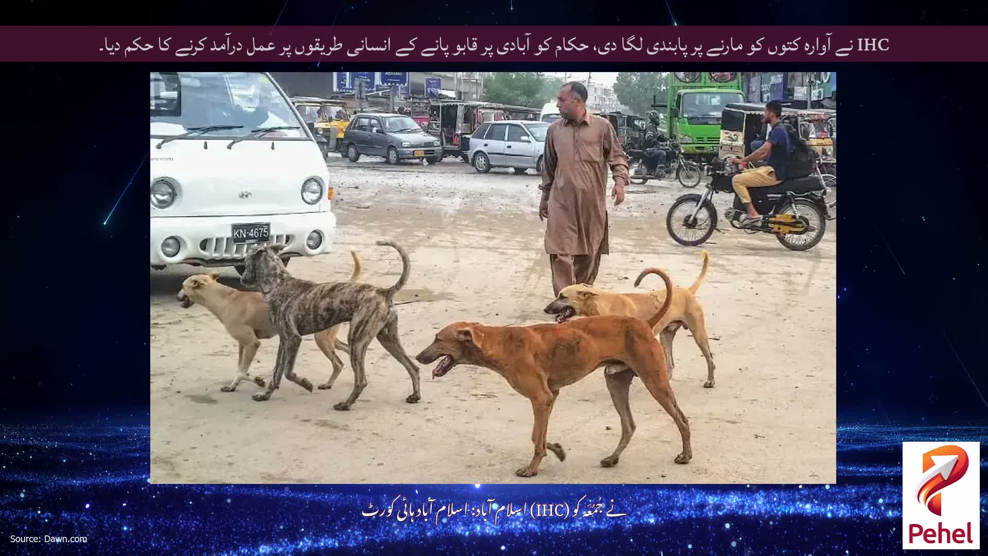 IHC نے آوارہ کتوں کو مارنے پر پابندی لگا دی، حکام کو آبادی پر قابو پانے کے انسانی طریقوں پر عمل درآمد کرنے کا حکم دیا۔