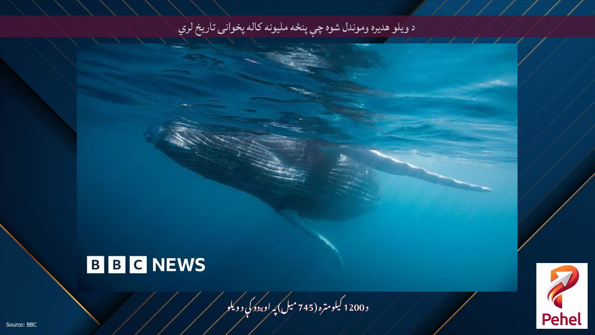 د ویلو هدیره وموندل شوه چې پنځه ملیونه کاله پخوانۍ تاریخ لري