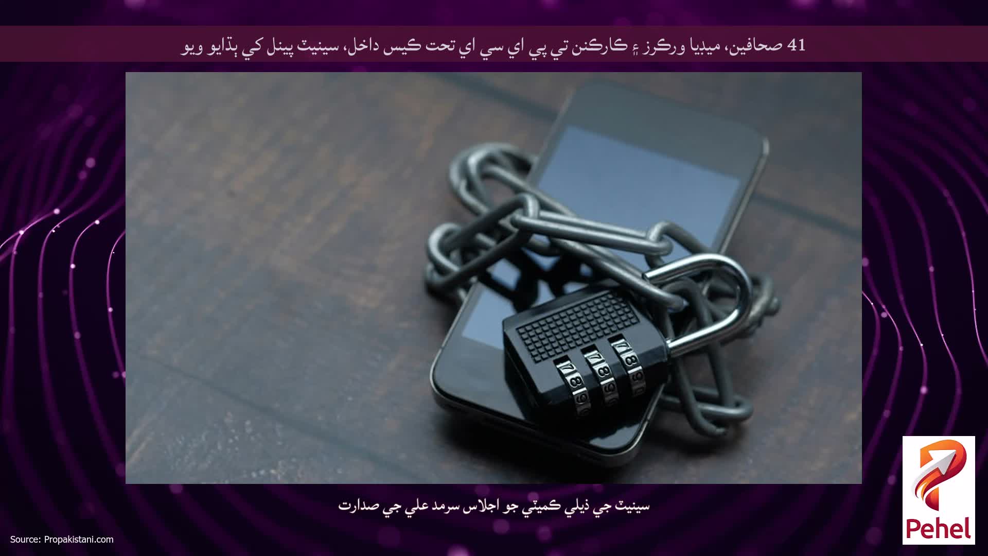 41 صحافين، ميڊيا ورڪرز ۽ ڪارڪنن تي پي اي سي اي تحت ڪيس داخل، سينيٽ پينل کي ٻڌايو ويو