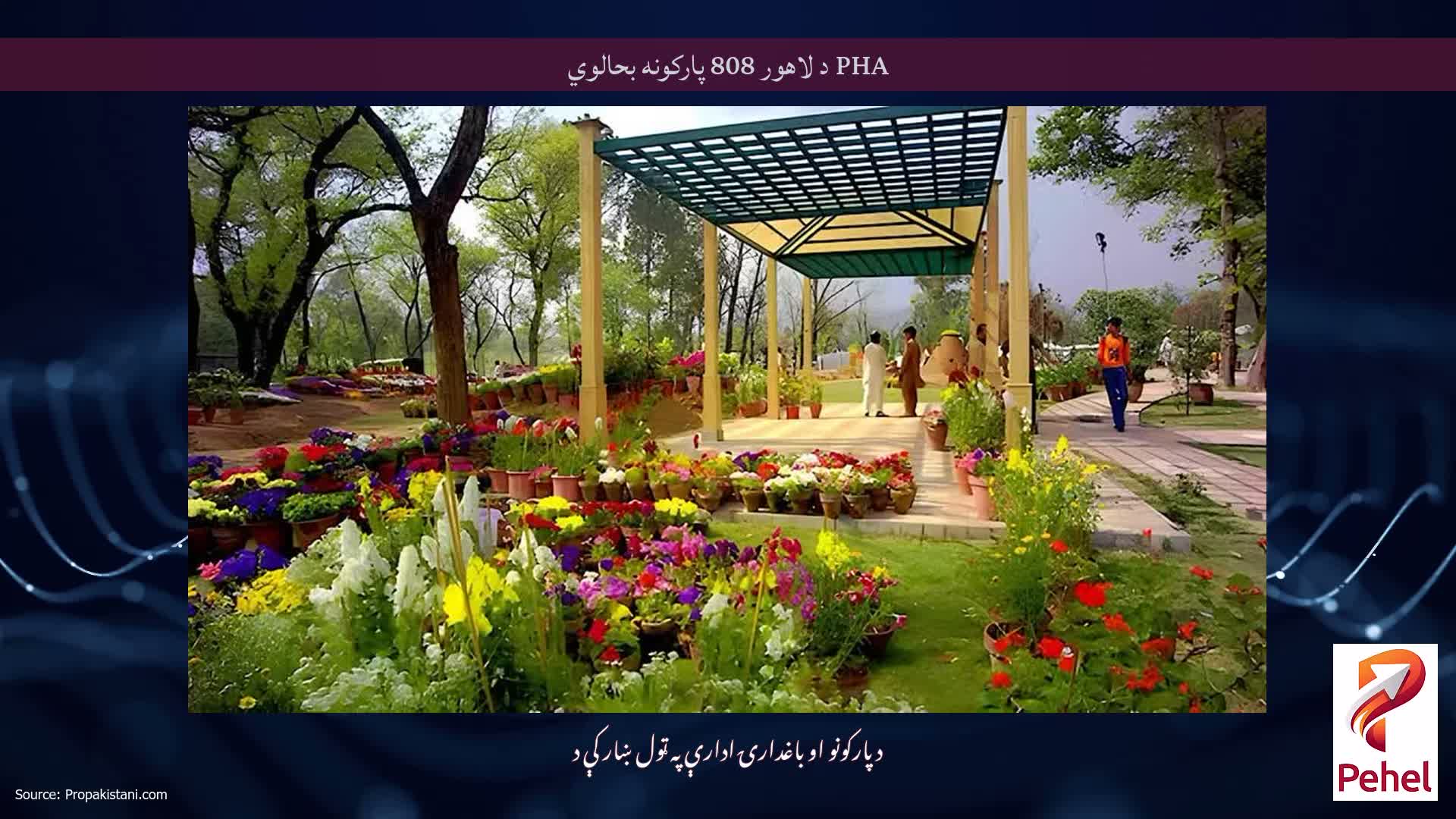 PHA د لاهور 808 پارکونه بحالوي
