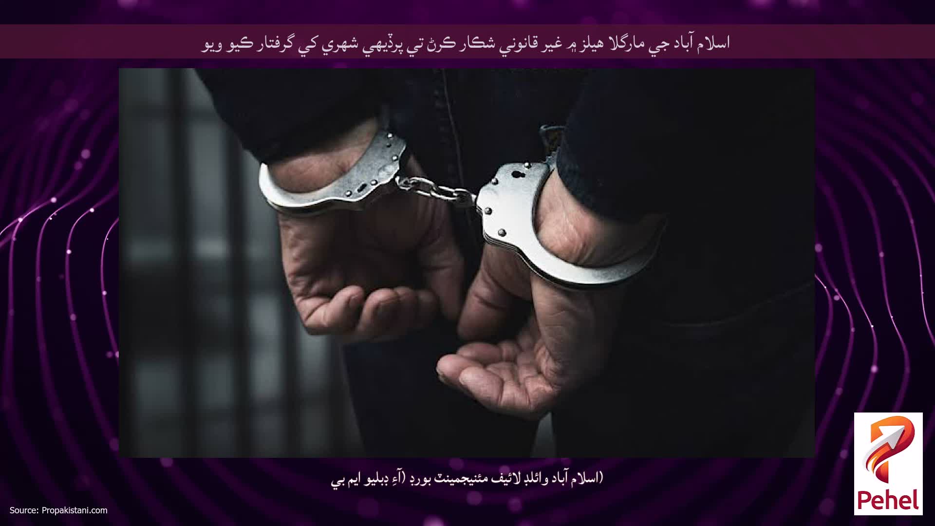 اسلام آباد جي مارگلا هيلز ۾ غير قانوني شڪار ڪرڻ تي پرڏيهي شهري کي گرفتار ڪيو ويو