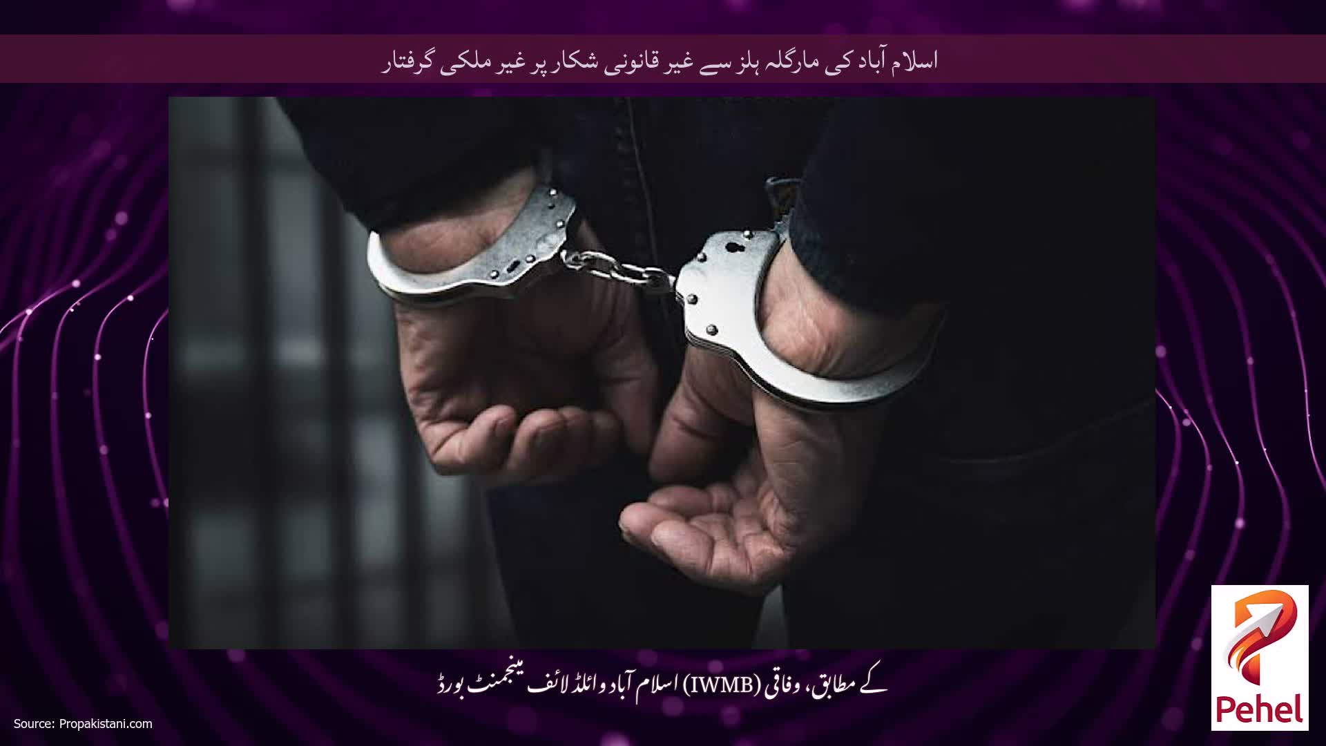 اسلام آباد کی مارگلہ ہلز سے غیر قانونی شکار پر غیر ملکی گرفتار