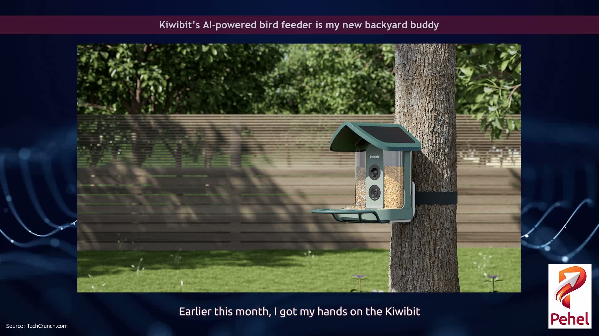 Kiwibit’s AI-powered bird feeder is my new backyard buddy