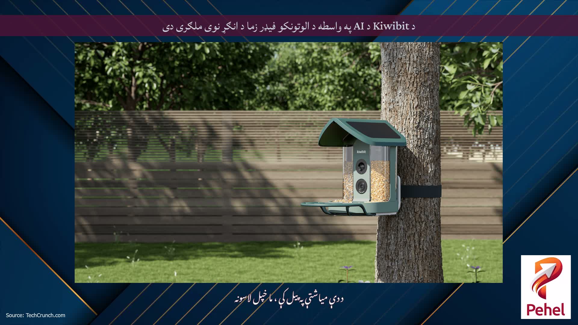 د Kiwibit د AI په واسطه د الوتونکو فیډر زما د انګړ نوی ملګری دی