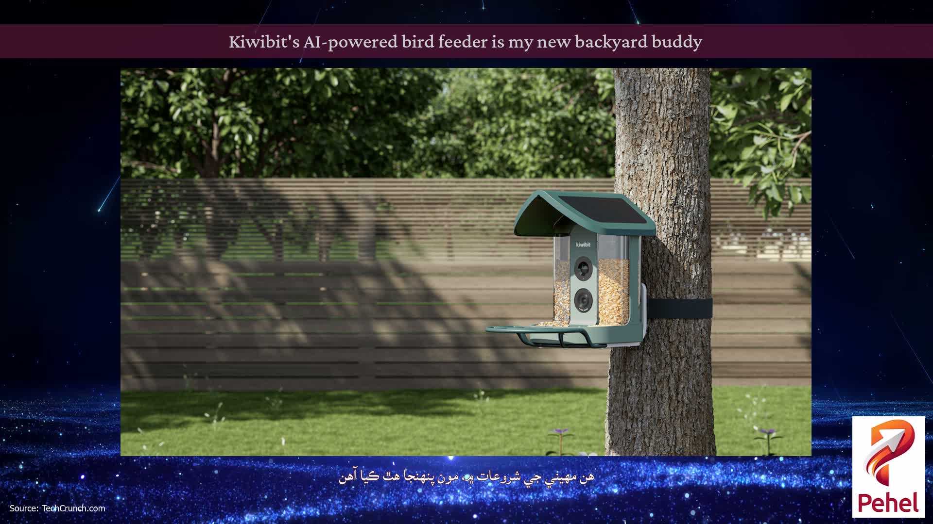 Kiwibit's AI-powered bird feeder is my new backyard buddy