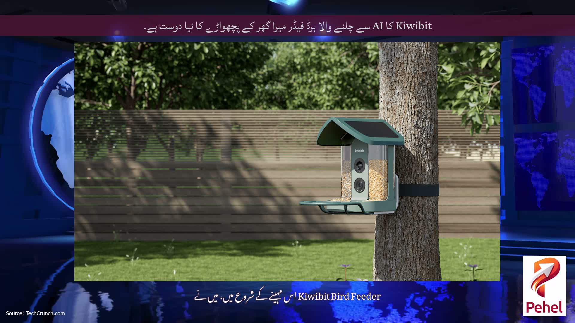 Kiwibit کا AI سے چلنے والا برڈ فیڈر میرا گھر کے پچھواڑے کا نیا دوست ہے۔