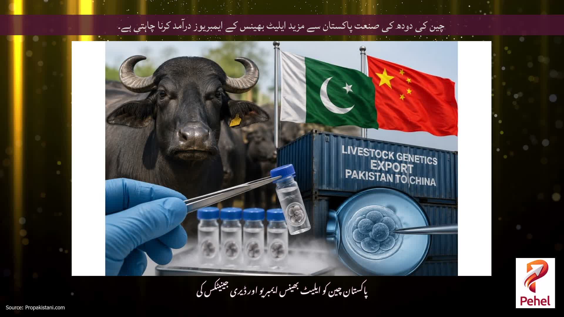 چین کی دودھ کی صنعت پاکستان سے مزید ایلیٹ بھینس کے ایمبریوز درآمد کرنا چاہتی ہے۔