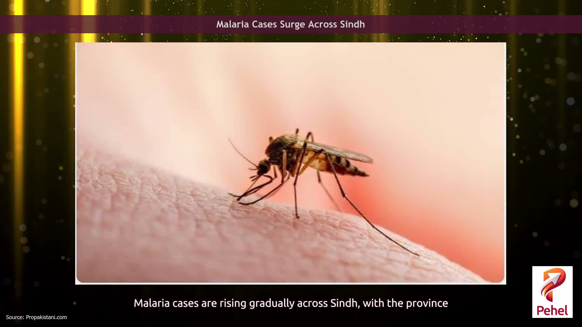 Malaria Cases Surge Across Sindh