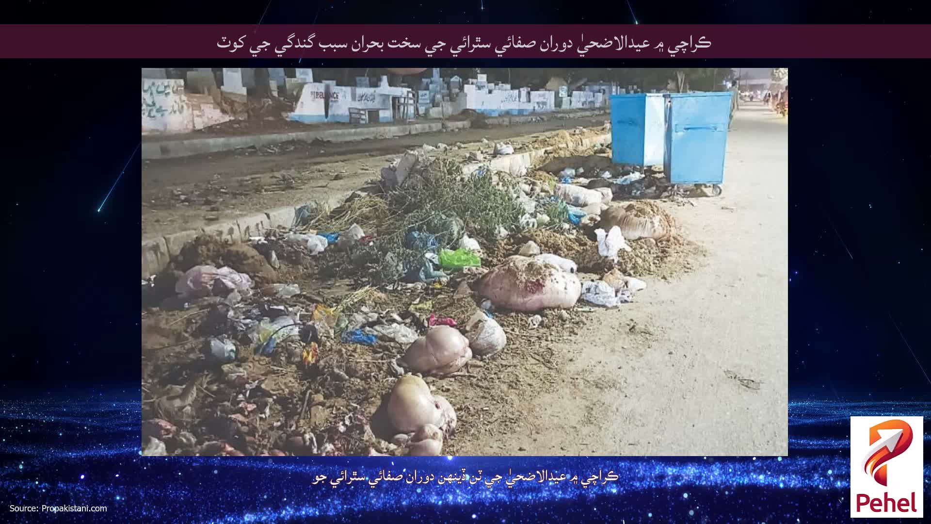 ڪراچي ۾ عيدالاضحيٰ دوران صفائي سٿرائي جي سخت بحران سبب گندگي جي کوٽ