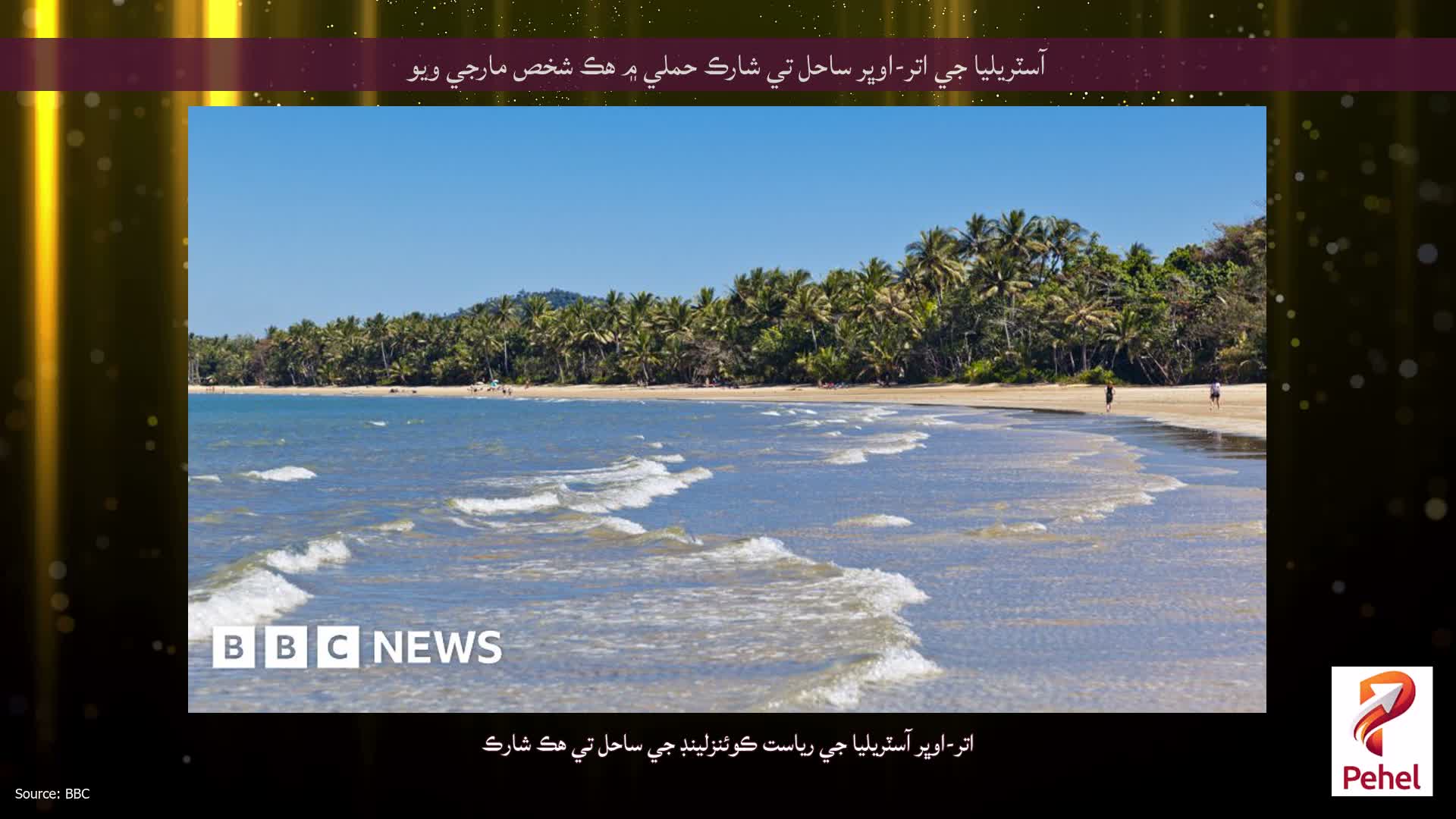 آسٽريليا جي اتر-اوڀر ساحل تي شارڪ حملي ۾ هڪ شخص مارجي ويو