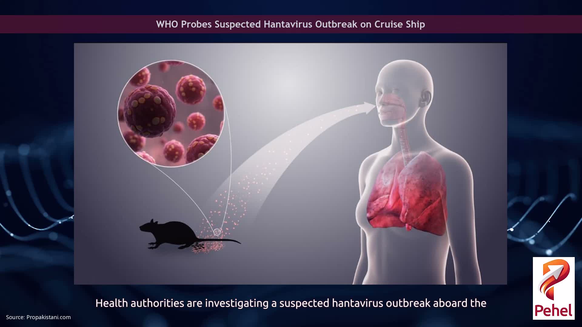 WHO Probes Suspected Hantavirus Outbreak on Cruise Ship
