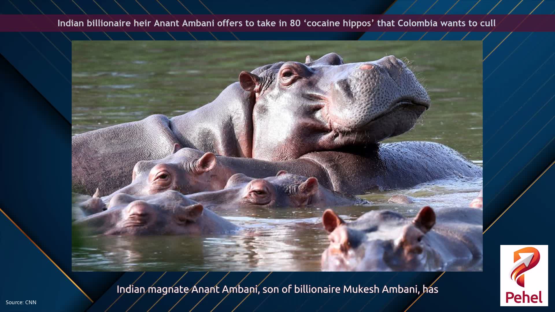 Indian billionaire heir Anant Ambani offers to take in 80 ‘cocaine hippos’ that Colombia wants to cull