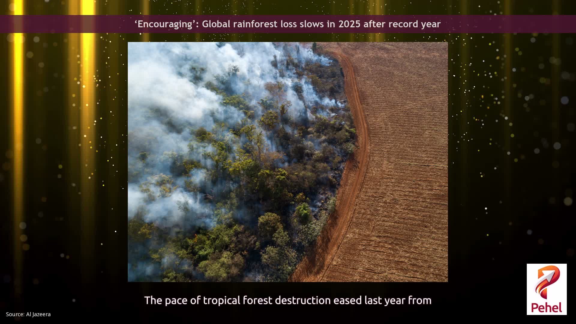 ‘Encouraging’: Global rainforest loss slows in 2025 after record year