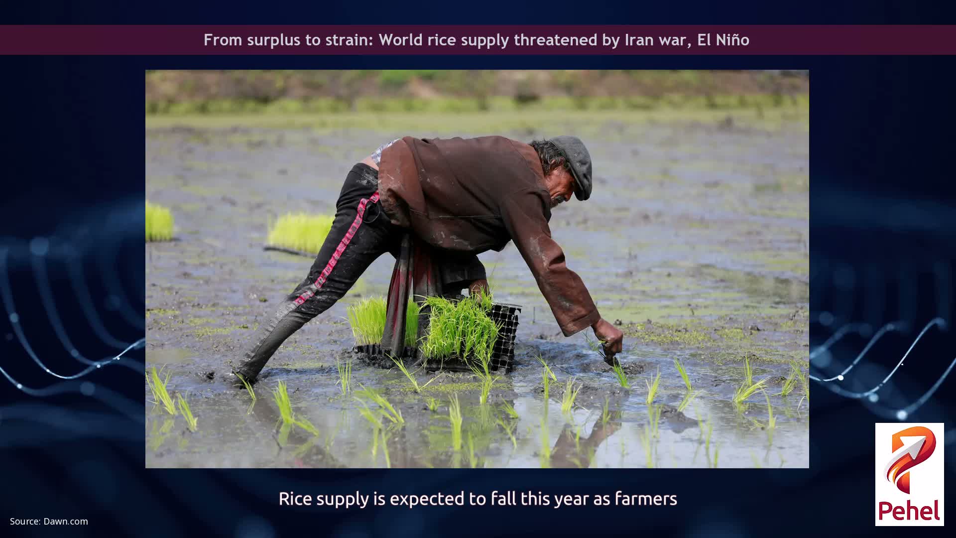 From surplus to strain: World rice supply threatened by Iran war, El Niño