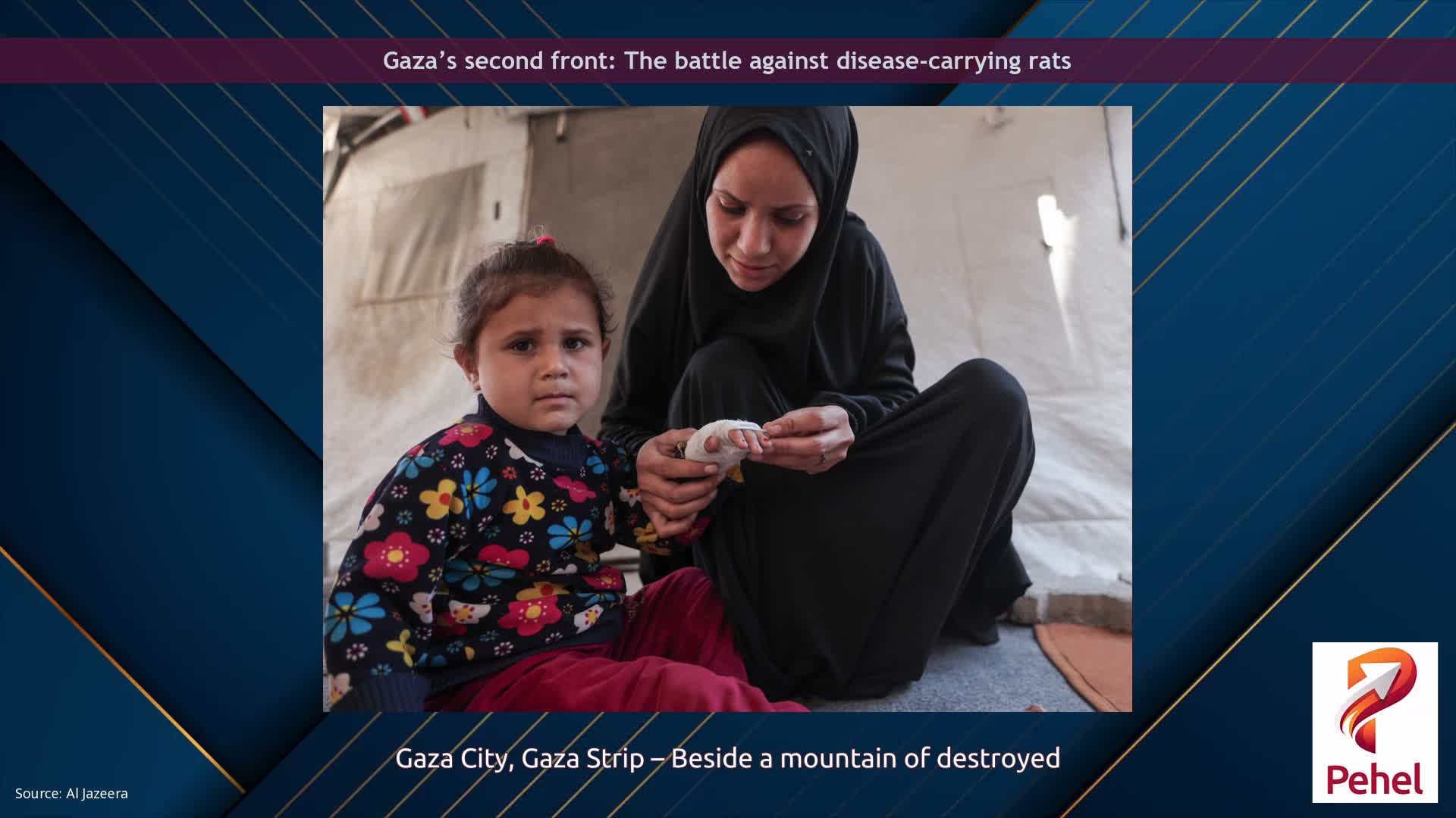 Gaza’s second front: The battle against disease-carrying rats