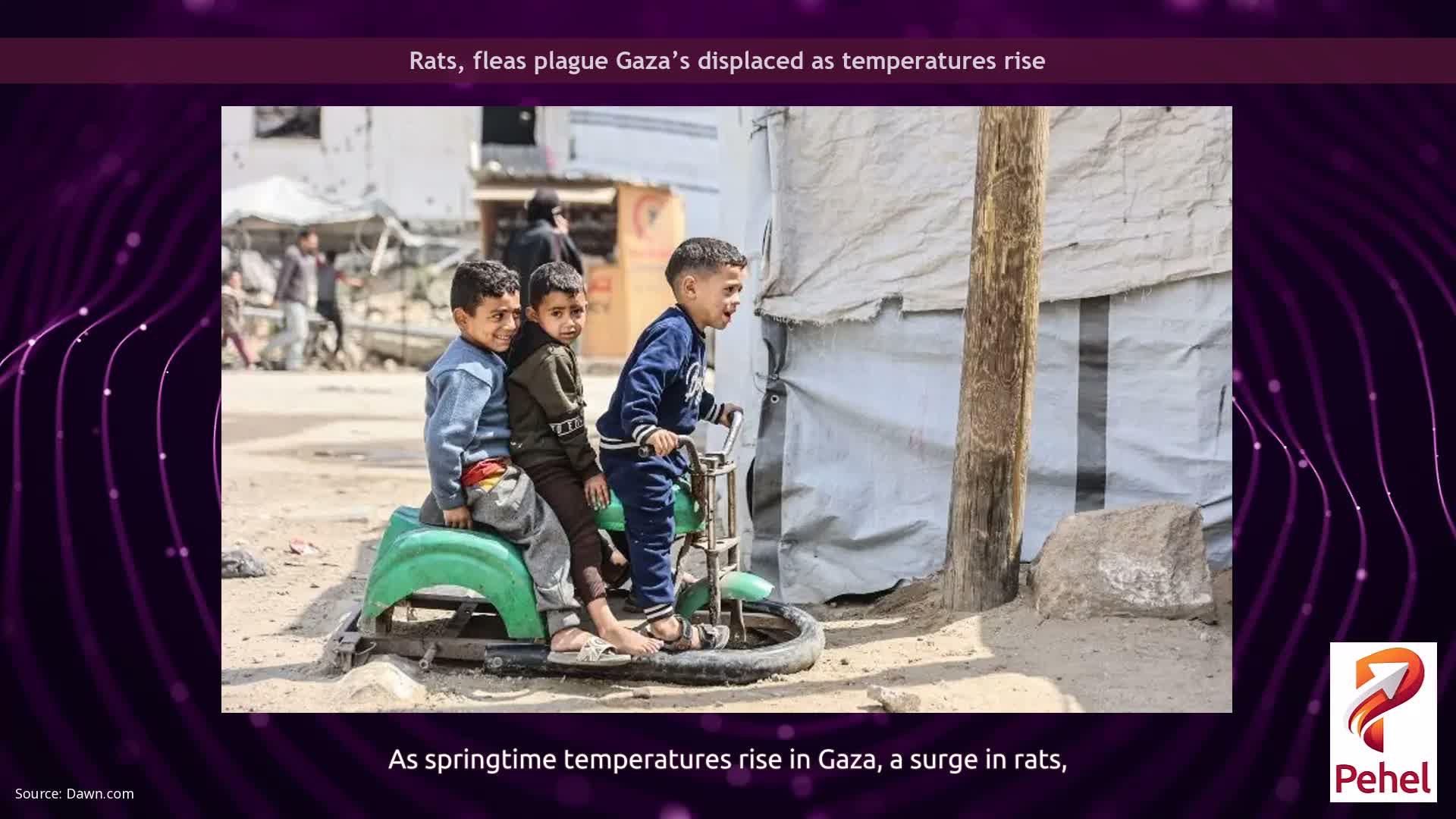 Rats, fleas plague Gaza’s displaced as temperatures rise