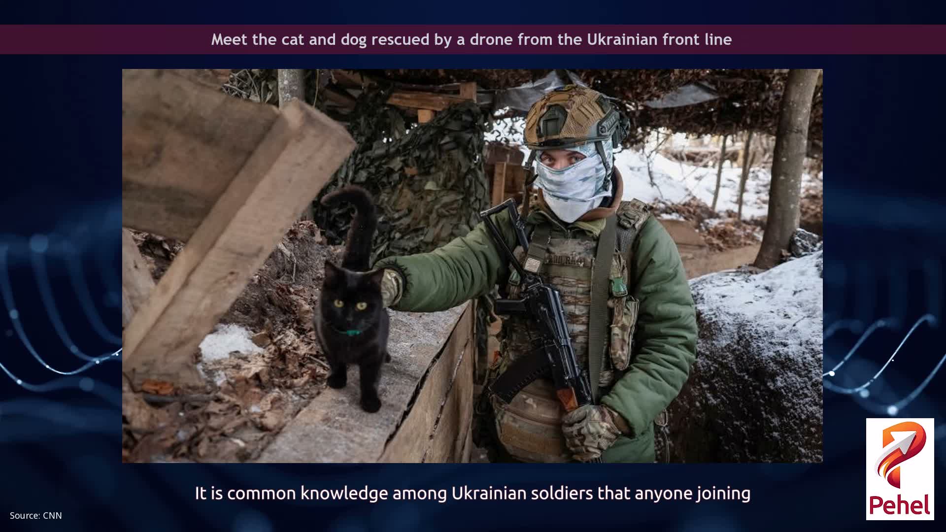 Meet the cat and dog rescued by a drone from the Ukrainian front line