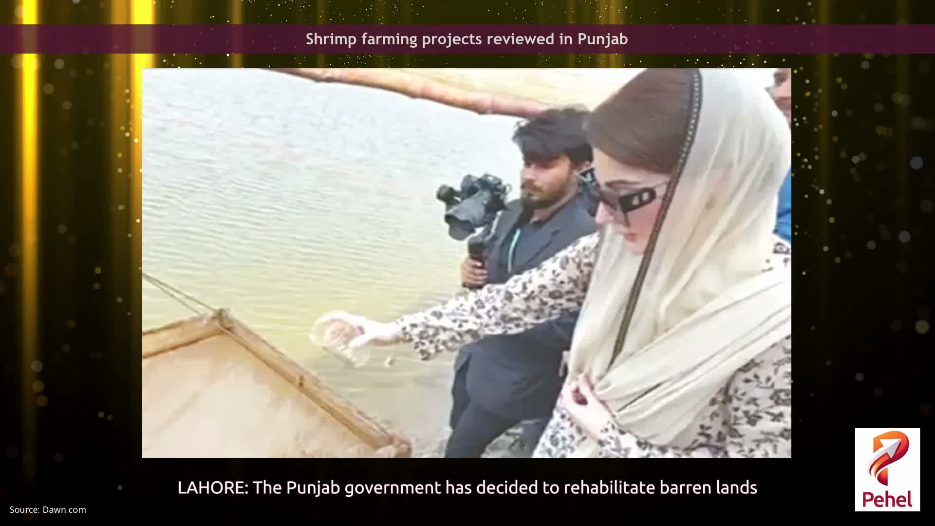 Shrimp farming projects reviewed in Punjab