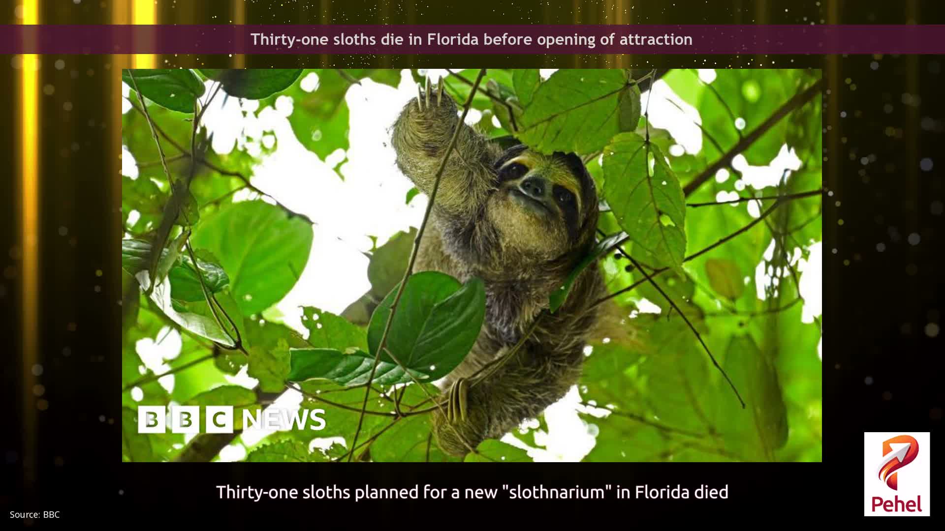Thirty-one sloths die in Florida before opening of attraction